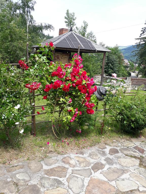 Girska Sadyba Jaremtsje Buitenkant foto